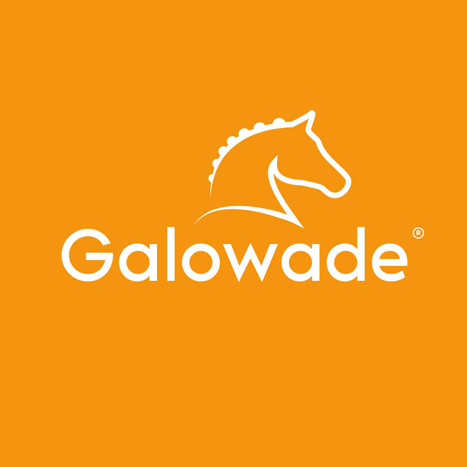 Galowade - ligne de soin cheval - 2022